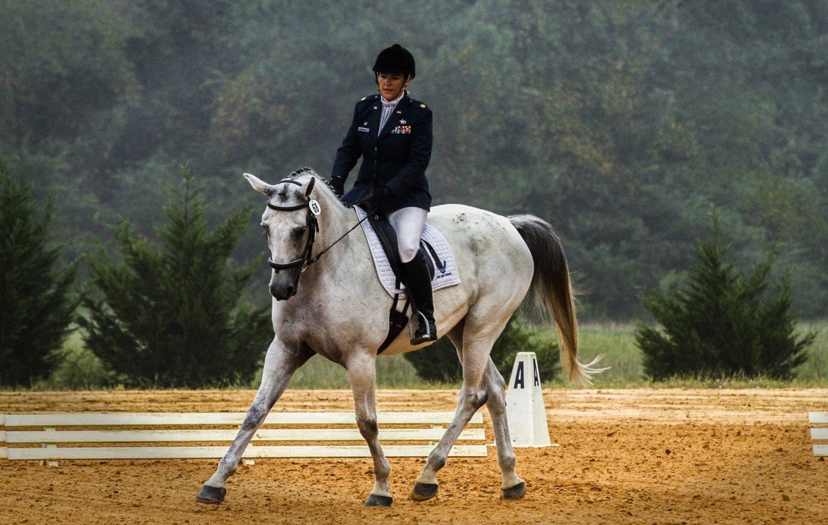 Dressage