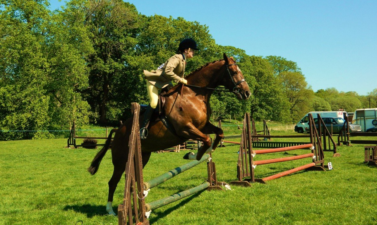 Saut d’obstacles