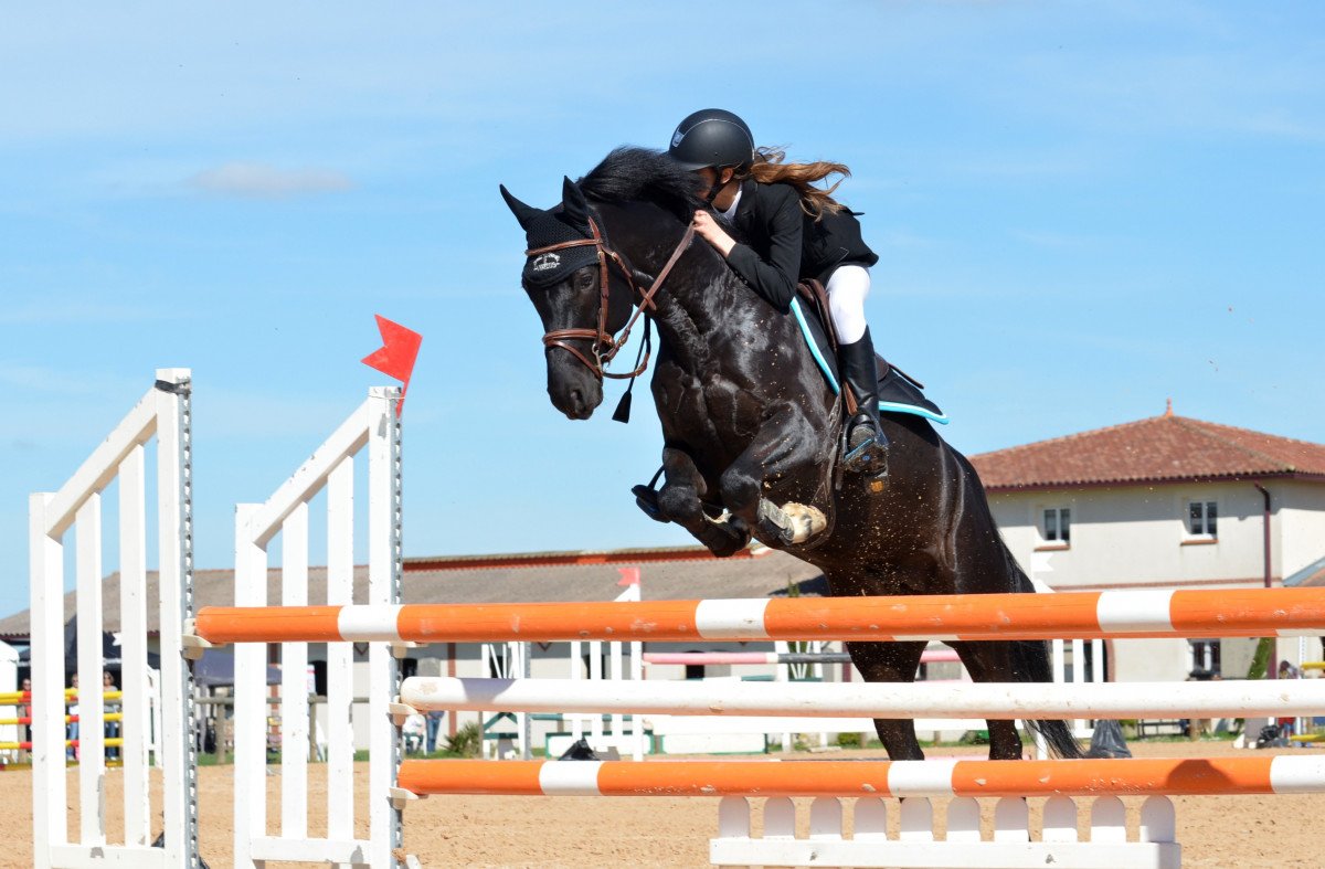 Un arçon de selle de saut