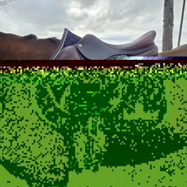 Selle CWD 17â€™5