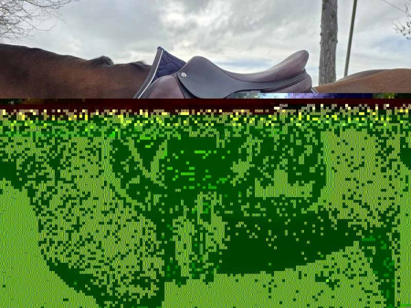 Selle CWD 17â€™5