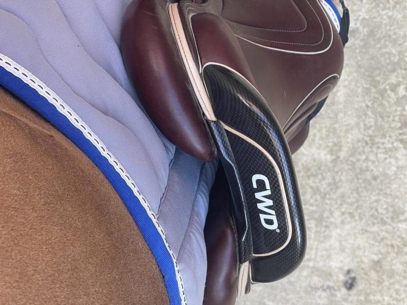 Selle cwd 2GS kid