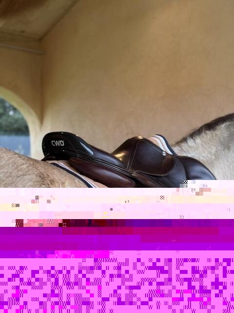 Selle CWD marron
