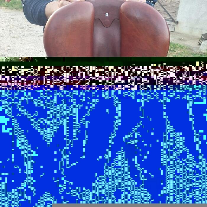 Selle cwd