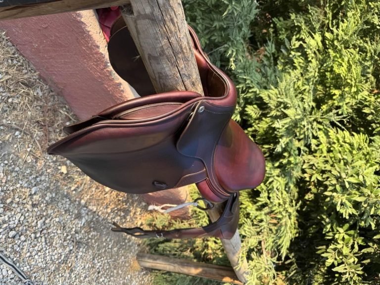 Selle Cwd SE02 17â€ Ã©tat impeccable