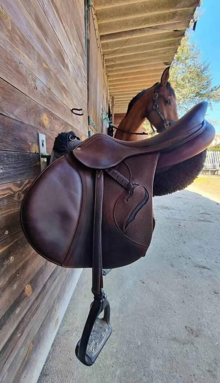 Selle Antares