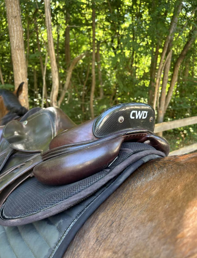 Selle CWD 2Gs Carbone (2013) — 17,5"