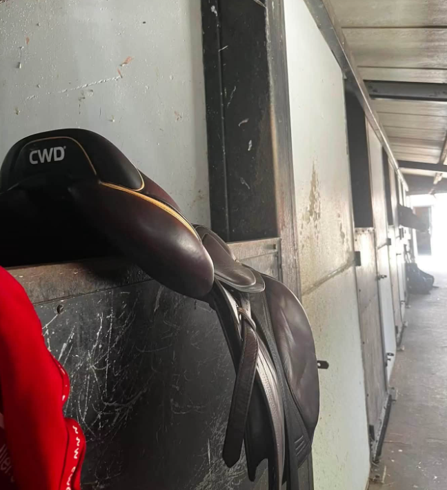 Selle CWD 2GS marron