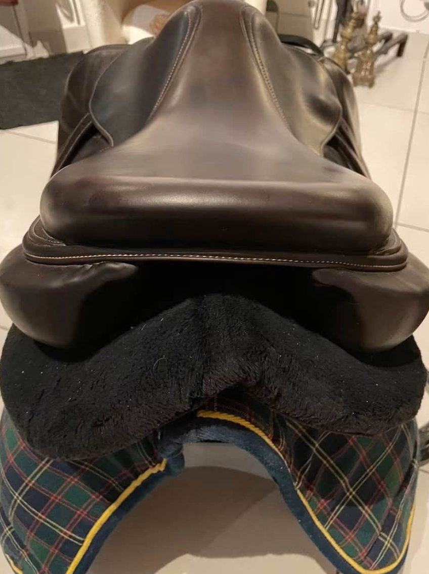 Selle Forestier Séoul (2018) — 17"